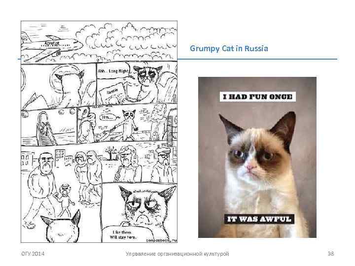 Grumpy Cat in Russia ОГУ 2014 Управление организационной культурой 38 