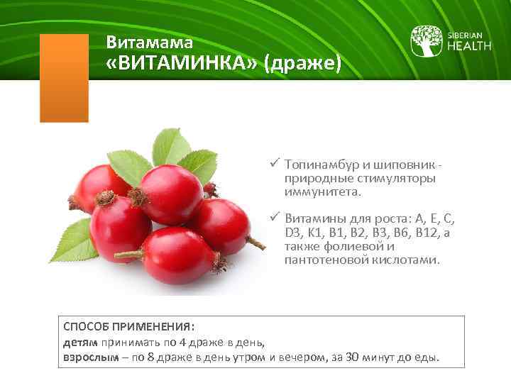 Витамама «ВИТАМИНКА» (драже) ü Топинамбур и шиповник - природные стимуляторы иммунитета. ü Витамины для