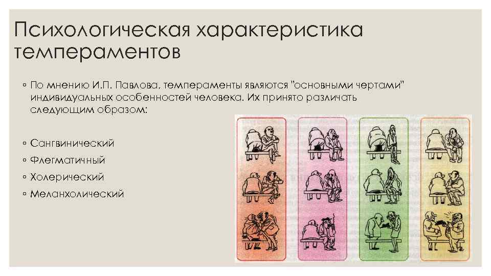 Презентация по биологии 8 класс типы темперамента