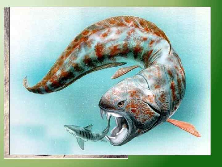 Какими были первые рыбы. Панцирные рыбы Силур. Панцирные рыбы силурийского периода. Силур панцирные челюстные рыбы. Челюстноротые рыбы Девон.