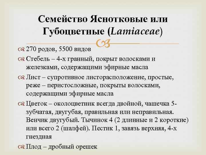 Семейство Яснотковые или Губоцветные (Lamiaceae) 270 родов, 5500 видов Стебель – 4 -х гранный,