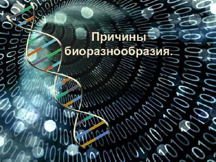 Причины биоразнообразия. 