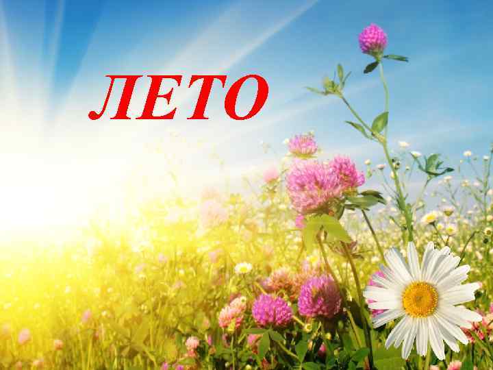 ЛЕТО 