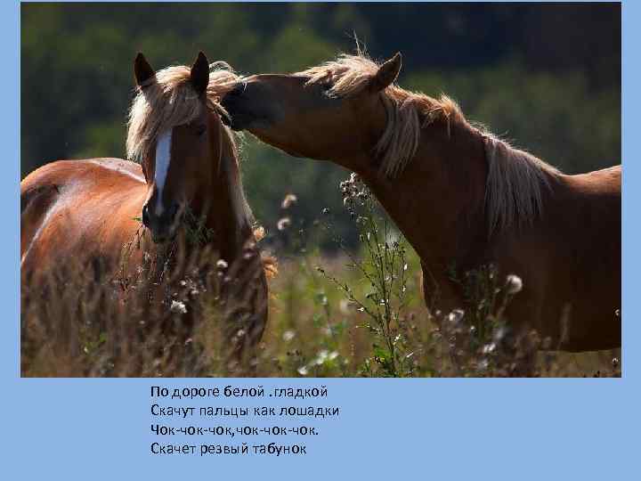 По дороге белой. гладкой Скачут пальцы как лошадки Чок-чок, чок-чок. Скачет резвый табунок 