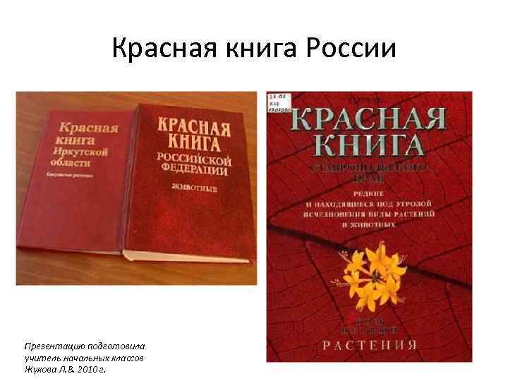 Красная книга России Презентацию подготовила учитель начальных классов Жукова Л. В. 2010 г. 