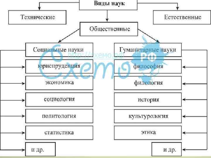 Схема соотношение объекта и предмета гуманитарных наук и юриспруденции