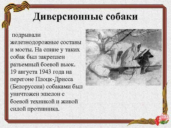 Диверсионные собаки подрывали железнодорожные составы и мосты. На спине у таких собак был закреплен
