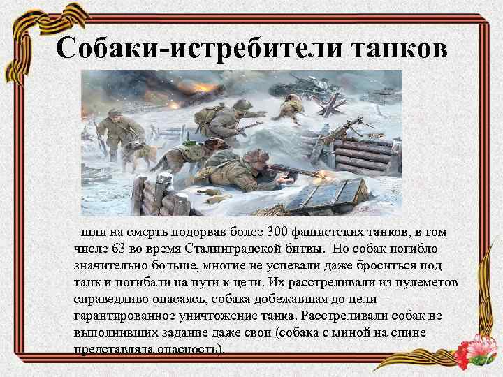 Собаки-истребители танков шли на смерть подорвав более 300 фашистских танков, в том числе 63