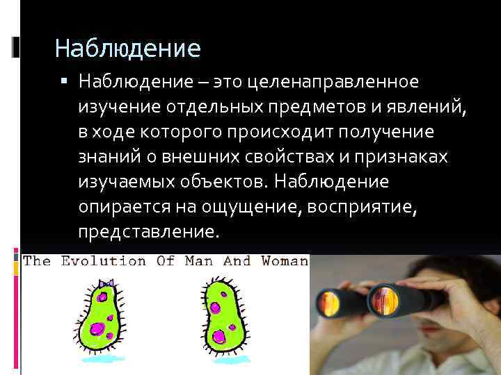 Наблюдение – это целенаправленное изучение отдельных предметов и явлений, в ходе которого происходит получение