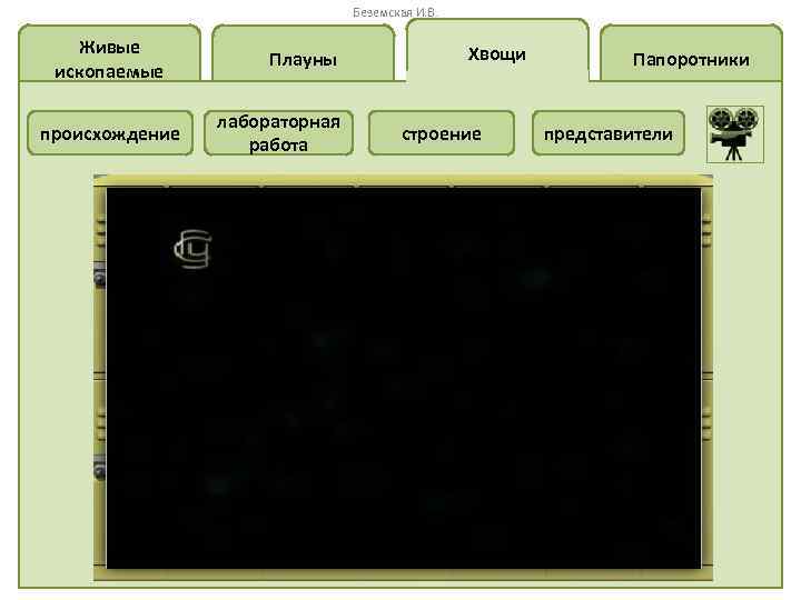 Беземская И. В. Живые ископаемые происхождение Плауны лабораторная работа Хвощи строение Папоротники представители 