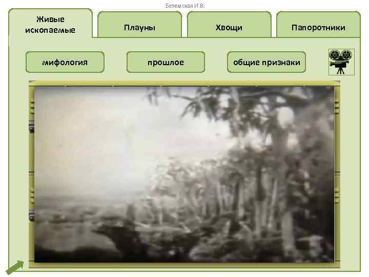 Беземская И. В. Живые ископаемые мифология Плауны прошлое Хвощи Папоротники общие признаки 