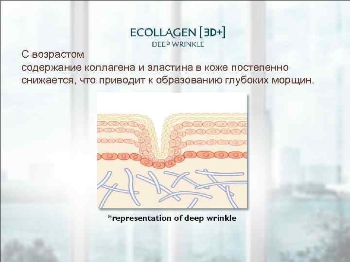 С возрастом содержание коллагена и эластина в коже постепенно снижается, что приводит к образованию