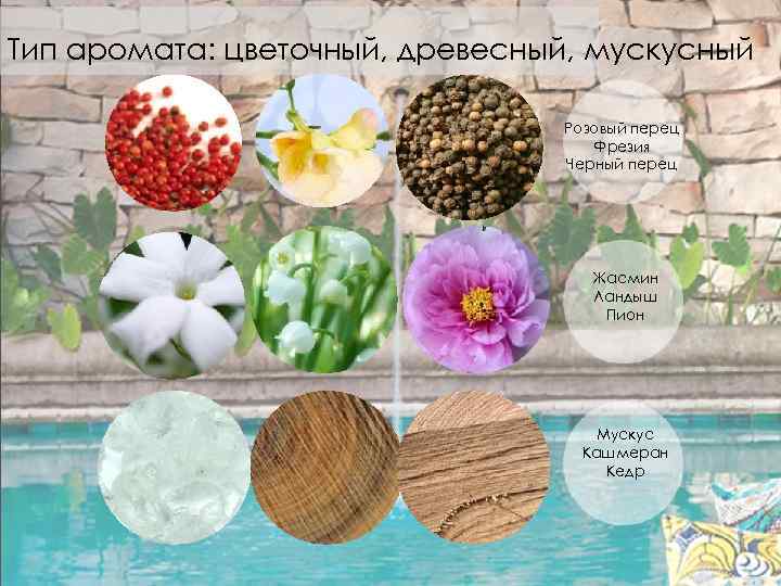 Тип аромата: цветочный, древесный, мускусный Розовый перец Фрезия Черный перец Жасмин Ландыш Пион Мускус