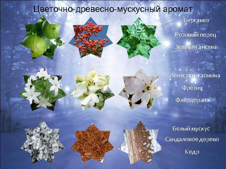 Цветочно-древесно-мускусный аромат Бергамот Розовый перец Зеленая листва Лепестки жасмина Фрезия Флёрдоранж Белый мускус Сандаловое