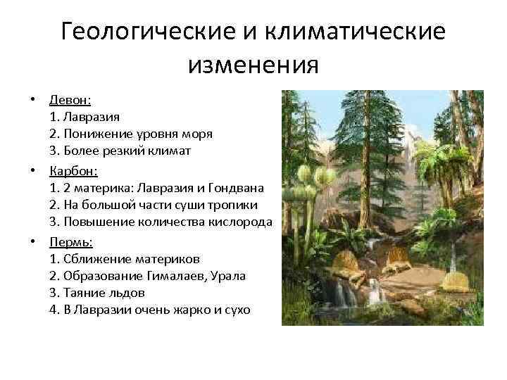 Геологические и климатические изменения • Девон: 1. Лавразия 2. Понижение уровня моря 3. Более