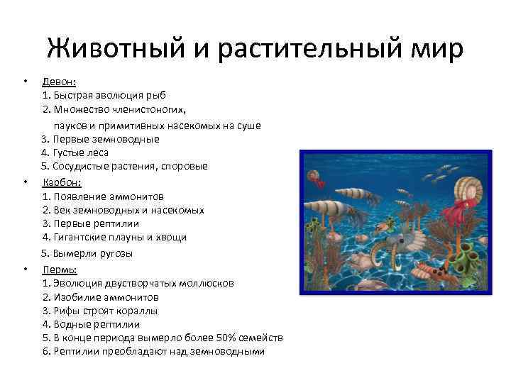 Животный и растительный мир Девон: 1. Быстрая эволюция рыб 2. Множество членистоногих, пауков и