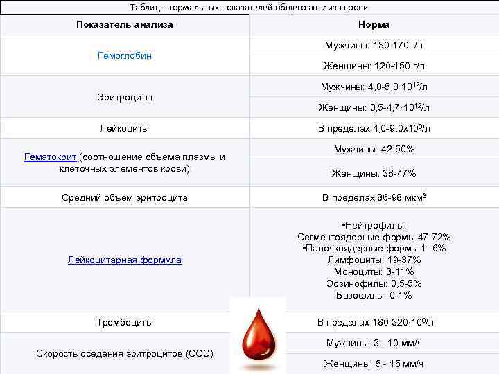 Таблица нормальных показателей общего анализа крови Показатель анализа Гемоглобин Эритроциты Лейкоциты Норма Мужчины: 130