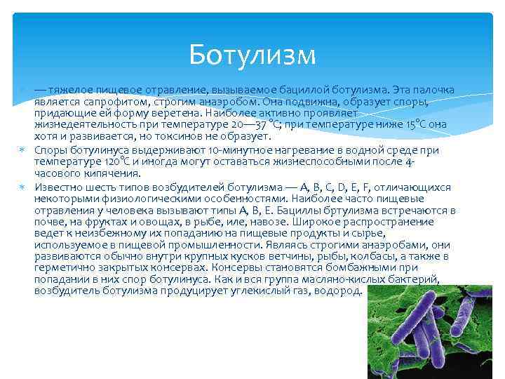 Ботулизм — тяжелое пищевое отравление, вызываемое бациллой ботулизма. Эта палочка является сапрофитом, строгим анаэробом.