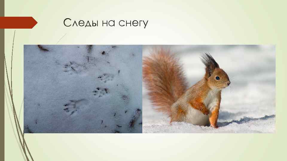 Следы на снегу 