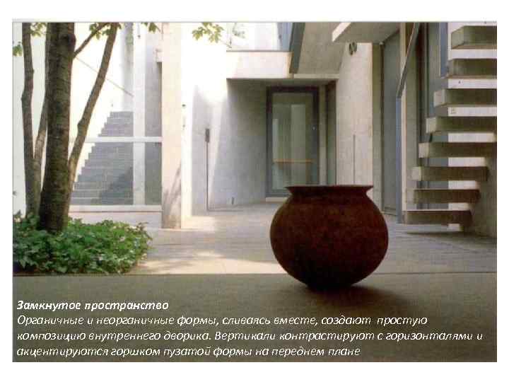Замкнутое пространство Органичные и неорганичные формы, сливаясь вместе, создают простую композицию внутреннего дворика. Вертикали