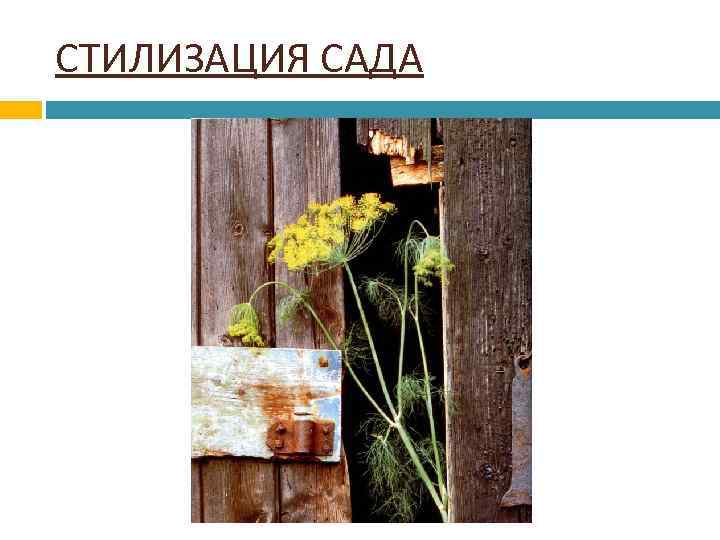 СТИЛИЗАЦИЯ САДА 