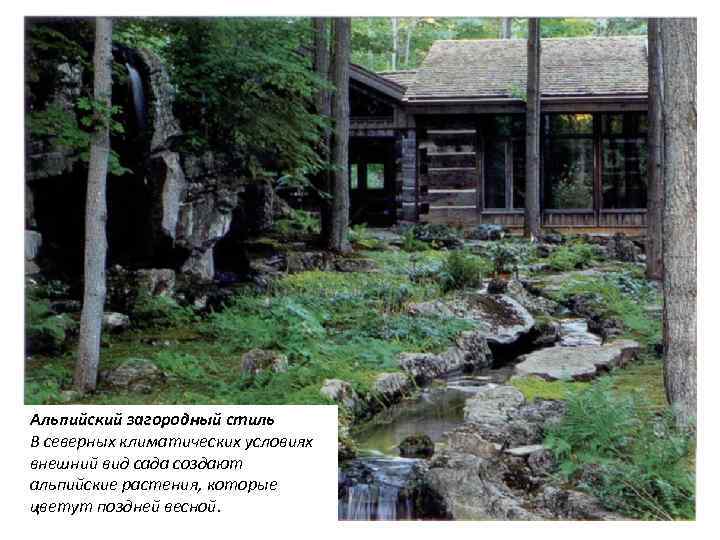 Альпийский загородный стиль В северных климатических условиях внешний вид сада создают альпийские растения, которые