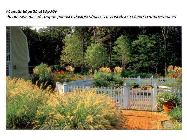 Миниатюрная изгородь Этот маленький огород рядом с домом обнесен изгородью из белого штакетника 
