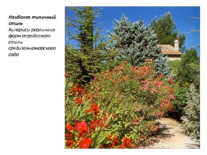 Наиболее типичный стиль Кипарисы различных форм определяют стиль средиземноморского сада 