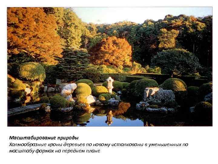 Масштабирование природы Холмообразные кроны деревьев по новому истолкованы в уменьшенных по масштабу формах на