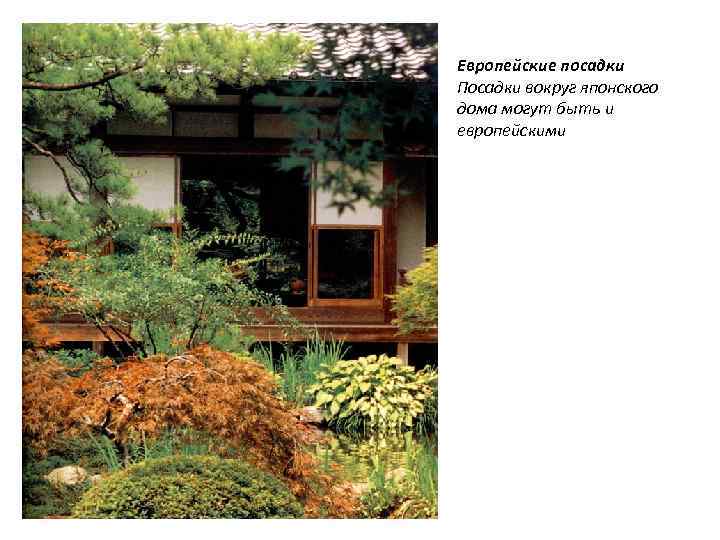 Европейские посадки Посадки вокруг японского дома могут быть и европейскими 