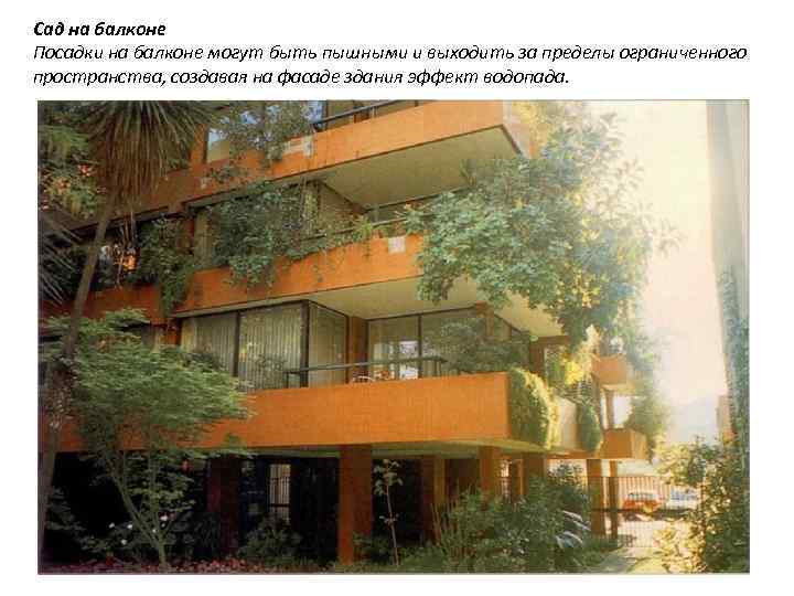 Сад на балконе Посадки на балконе могут быть пышными и выходить за пределы ограниченного