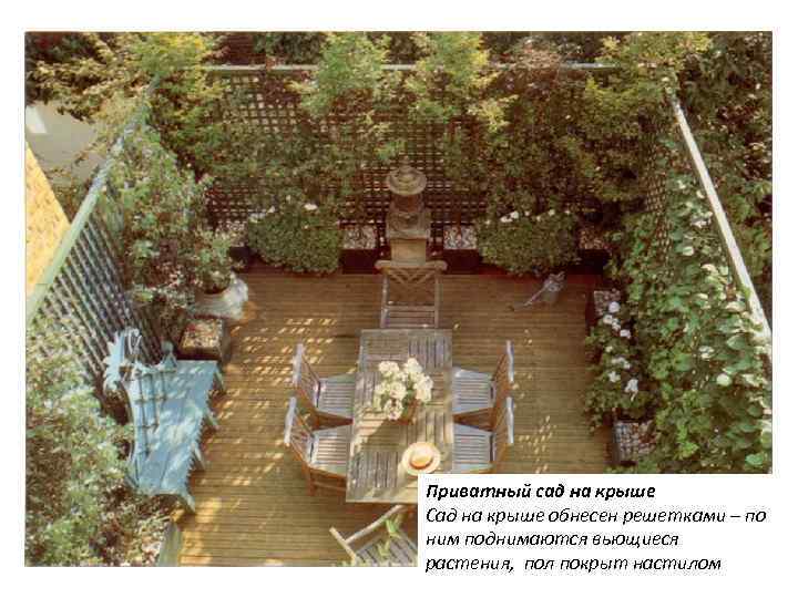 Приватный сад на крыше Сад на крыше обнесен решетками – по ним поднимаются вьющиеся