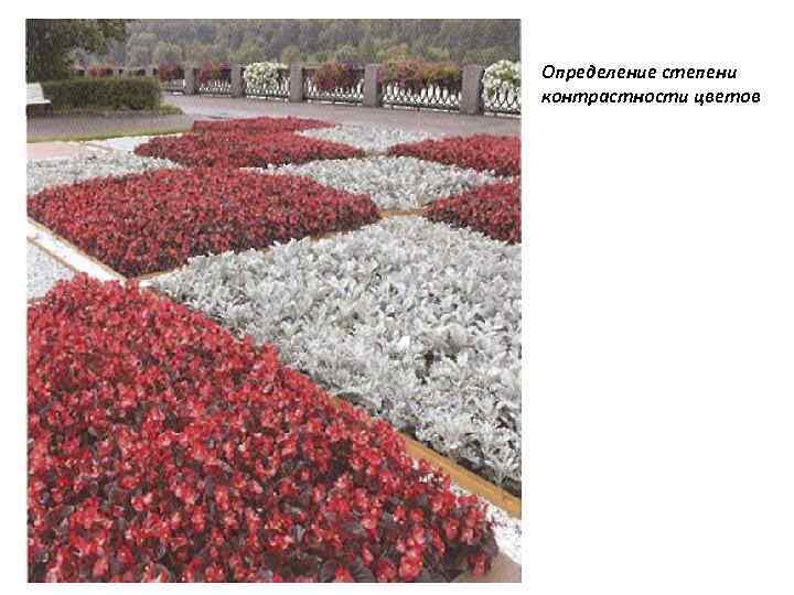 Определение степени контрастности цветов 