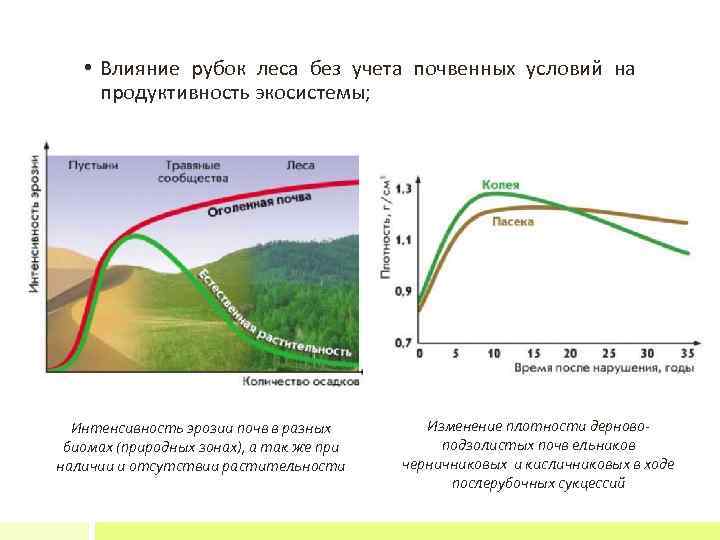 Интенсивность эрозии