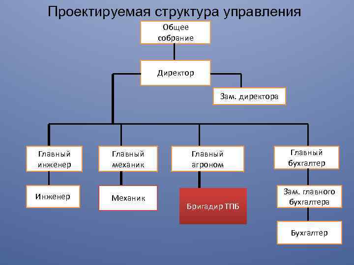 Рабочий строение. Зам. директора – главный инженер. Главный инженер структура управления. Структура директор зам директора. Главный механик в структуре управления.