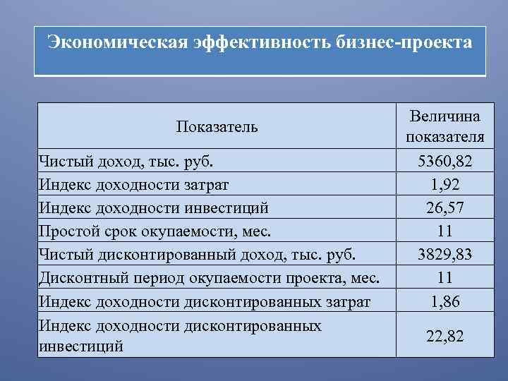 Показатели эффективности бизнес проекта