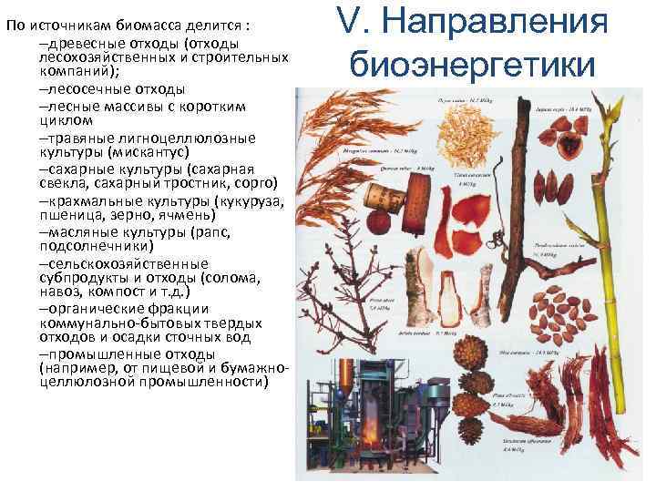 По источникам биомасса делится : –древесные отходы (отходы лесохозяйственных и строительных компаний); –лесосечные отходы