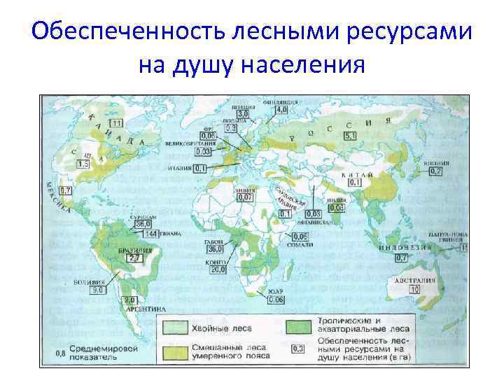 Обеспеченность лесными ресурсами на душу населения 