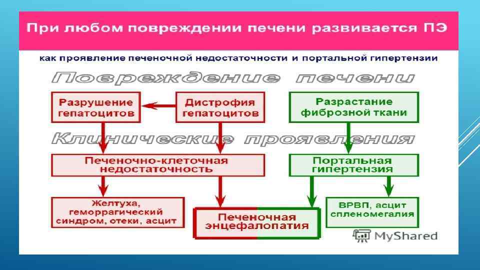 Энцефалопатия отеки. Печеночная энцефалопатия патогенез. Схема печеночной энцефалопатии. Посттравматическая энцефалопатия. Энцефалопатия при портальной.