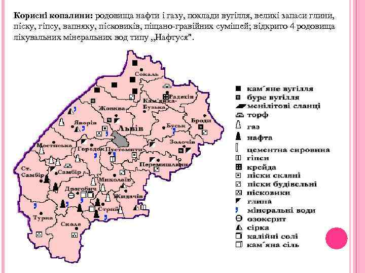 Корисні копалини: родовища нафти і газу, поклади вугілля, великі запаси глини, піску, гіпсу, вапняку,