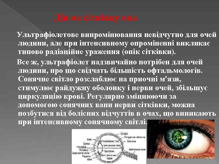 Дія на сітківку ока Ультрафіолетове випромінювання невідчутно для очей людини, але при інтенсивному опроміненні