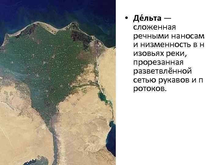  • Де льта — сложенная речными наносам и низменность в н изовьях реки,