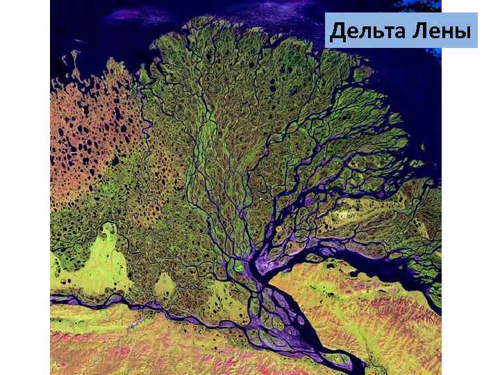 Дельта Лены 