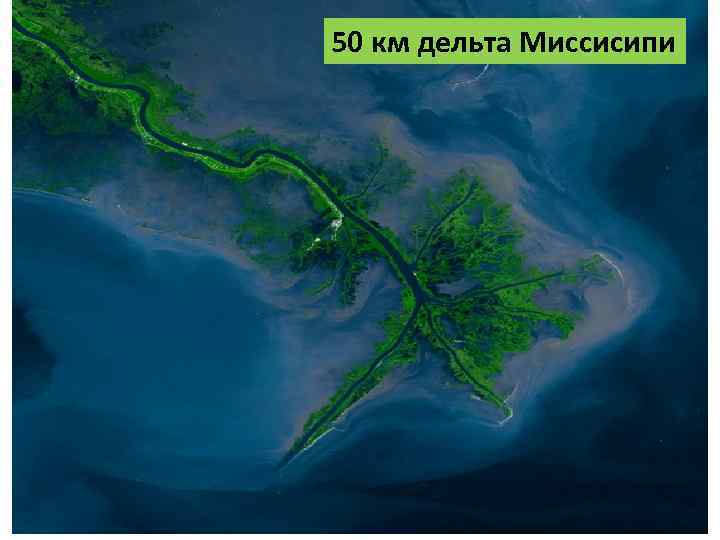 50 км дельта Миссисипи 