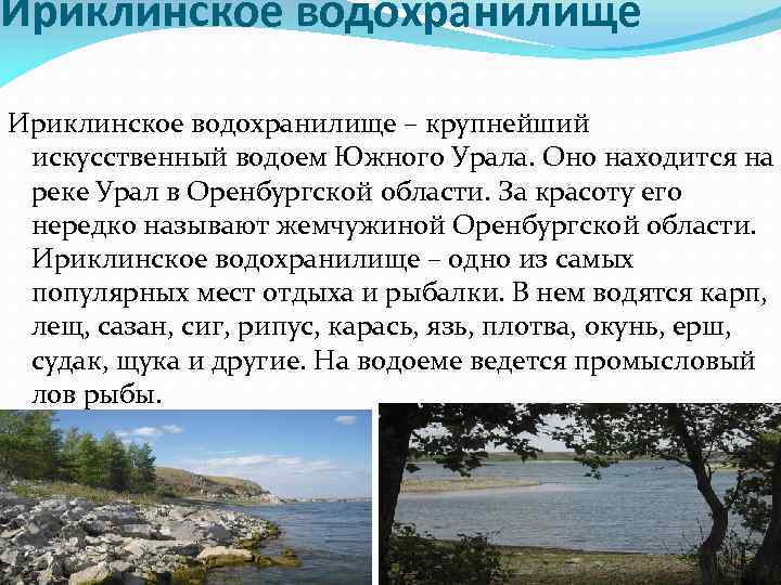 Водохранилища урала. Река Урал Ириклинское водохранилище. Сообщение о водохранилище. Водоемы Оренбургской области. Ириклинское водохранилище сообщение.