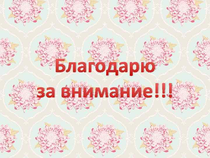 Благодарю за внимание!!! 