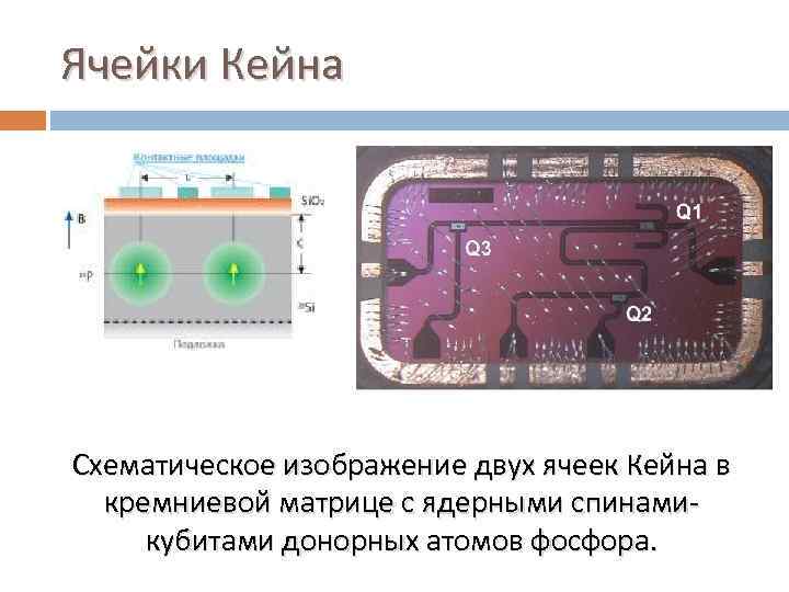 Ячейки Кейна Схематическое изображение двух ячеек Кейна в кремниевой матрице с ядерными спинамикубитами донорных