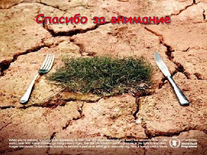 Спасибо за внимание 