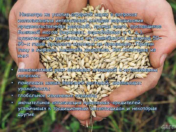 Несмотря на усилия аграрной науки в вопросах использования интенсивных методов выращивания продовольственных растений, прежде