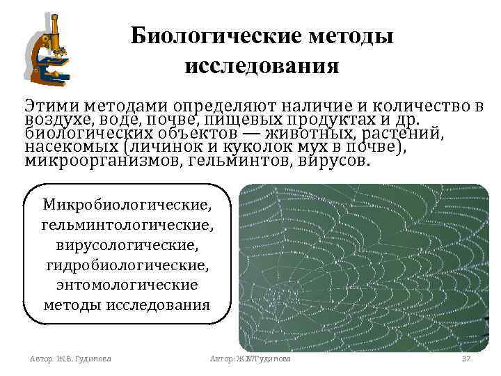 Биологические методы исследования. Биологический метод исследования. Диалогические методы исследования. Методы исследования биологических объектов. Биологические методы анализа.